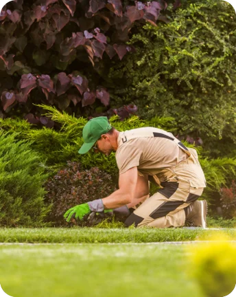 We Help Lawn Care Professionals Get More Jobs mobile